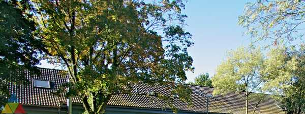 Foto des Gebäudes. Foto des Gebäudes.